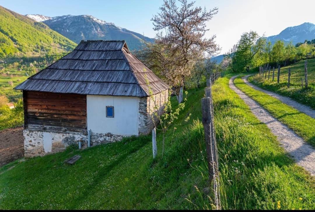 Household Babovic - Old House Miljan'S Valley Andrijevica Exterior foto